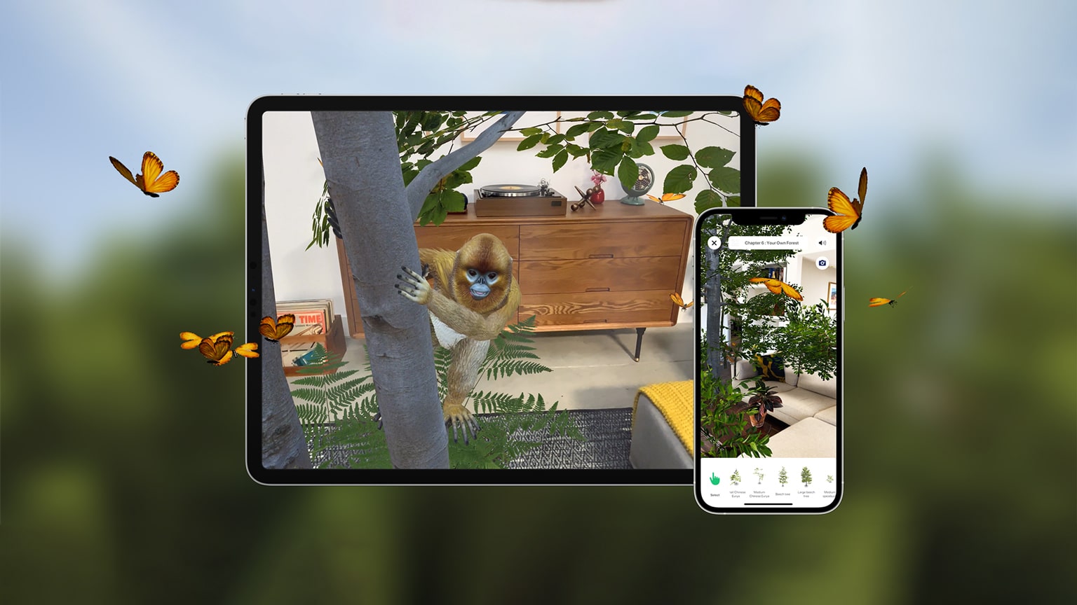 WWF - Augmented Reality Forest Platform